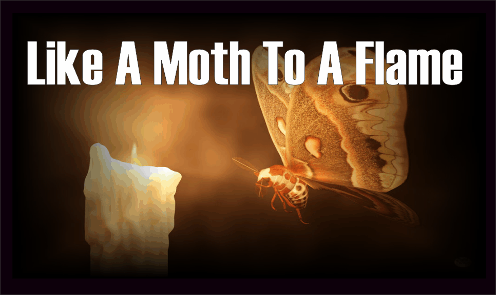 , Bitcoin: Like A Moth To A Flame