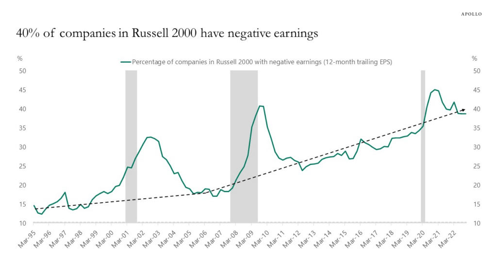 Companies with negative earnings.