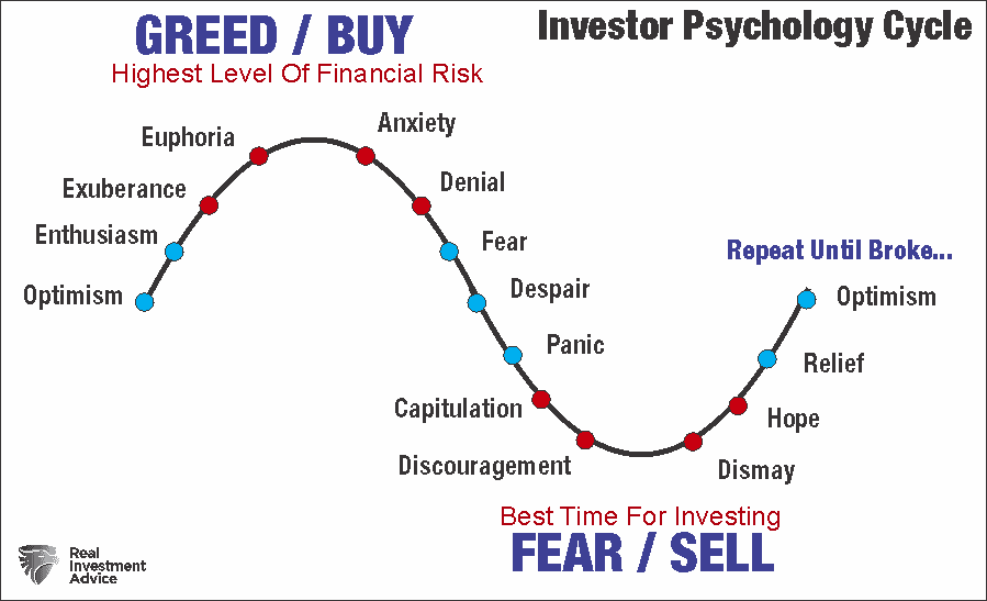 Investors are terrified, Investors Are Terrified, So Why Aren’t’ They Selling?